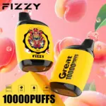 Fizzy Great 10000 10K Puffs 2% 5% Nicotine Original Edition Disposable Vape - Image 6