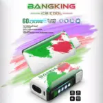 Bang King Ice Cool 60000 60K Puffs Original Adjustable Ice level LED Display Disposable Vape - Image 2