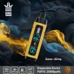 Bang King Shisha 25000 25K Puffs Newest LED Display Leather Disposable Vape Pen - Image 5