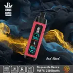 Bang King Shisha 25000 25K Puffs Newest LED Display Leather Disposable Vape Pen - Image 10