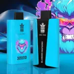 Bang King 30000 Pro Newest 30000 30K Puffs Disposable Vape Pen - Image 8